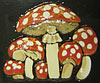 Mushrooms/Toadstools. 4.5” x 5”